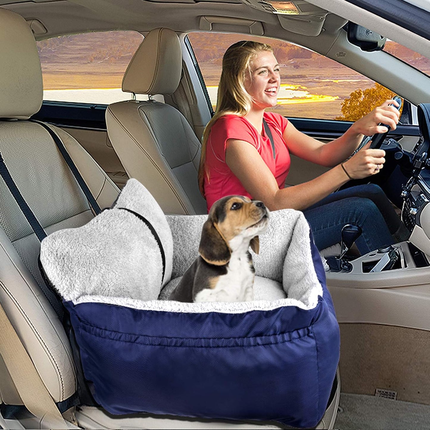 Portable Dog Car Seat for Small Pets Under 25 lbs - Fully Detachable, Washable, Soft Booster Seat with Storage Pockets and Clip-On Leash, Blue
