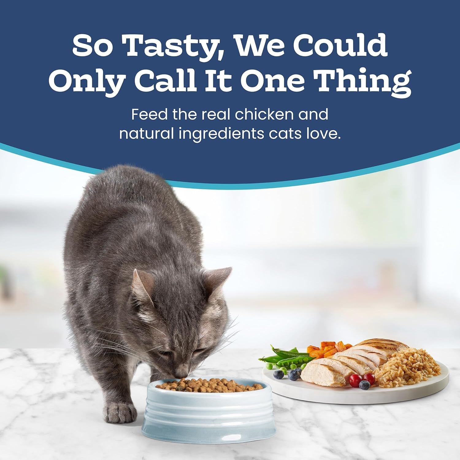 Tastefuls Natural Dry Food for Adult Indoor Cats, Chicken & Brown Rice Recipe, 15-Lb Bag